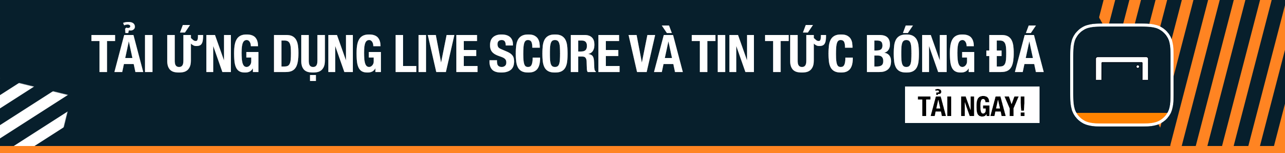 竞技水平 竞技水平